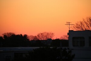 s-IMG_7353